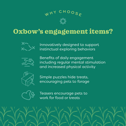 Oxbow Enriched Life Deluxe Color Dangly Small Animal Toy