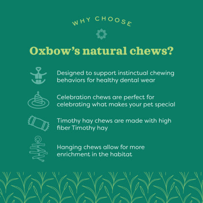 Oxbow Enriched Life Crazy Hay Ball Small Pet Toy