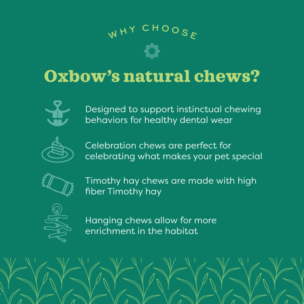 Oxbow Enriched Life Willow Play Cube Small Animal Toy