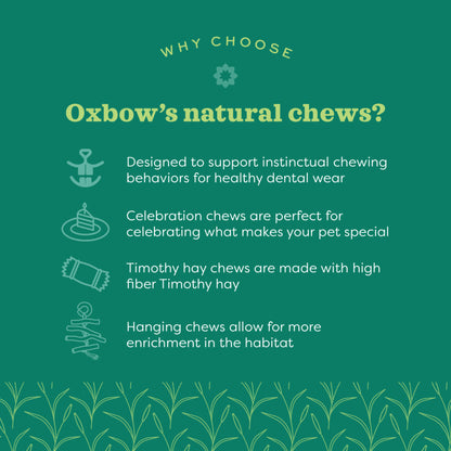 Oxbow Enriched Life Willow Play Cube Small Animal Toy