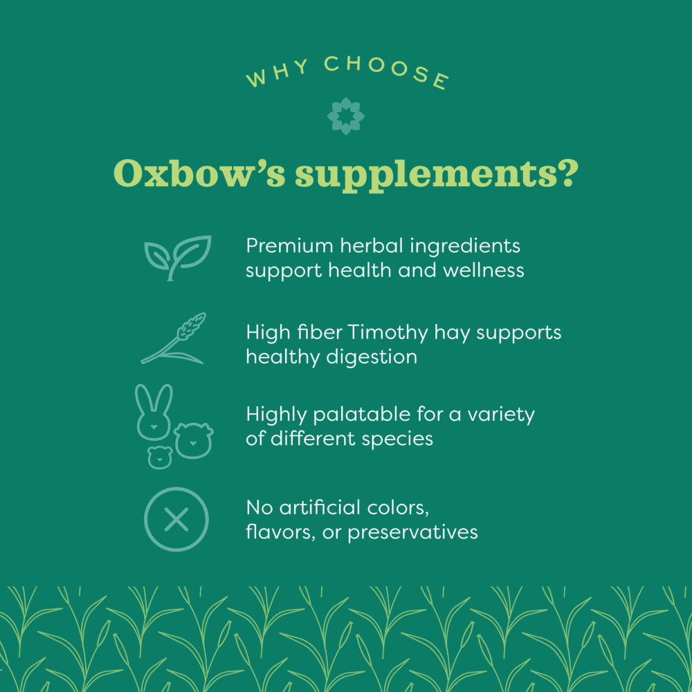 Oxbow Natural Science Digestive Support Small Animal Supplement