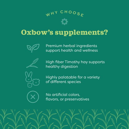 Oxbow Natural Science Papaya Support Digestive Health Small Animal Supplement