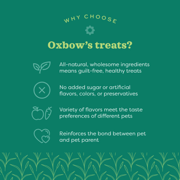 Oxbow Simple Rewards Oven Baked with Cranberry Small Animal Treats