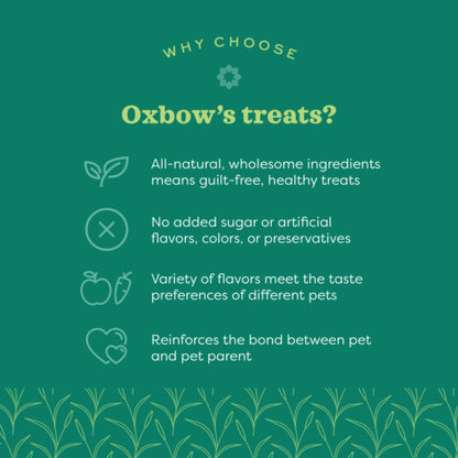 Oxbow Simple Rewards Oven Baked with Cranberry Small Animal Treats