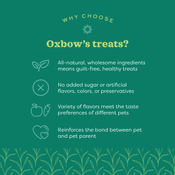 Oxbow Simple Rewards Freeze-Dried Banana Small Animal Treats