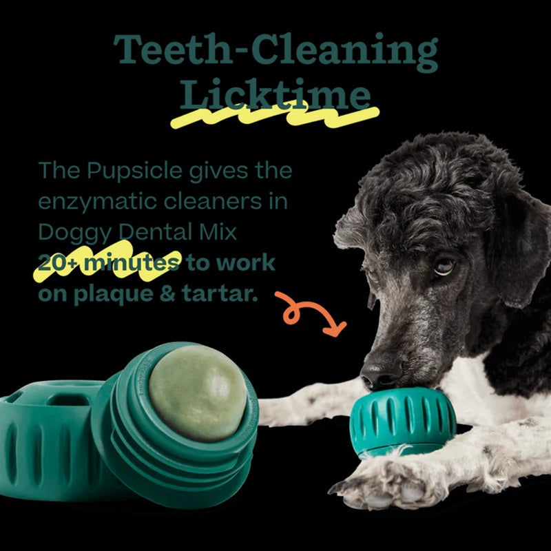 Woof Pupsicle Doggy Dental Mix (5.5 oz)