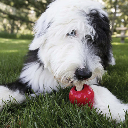 KONG Ziggies
