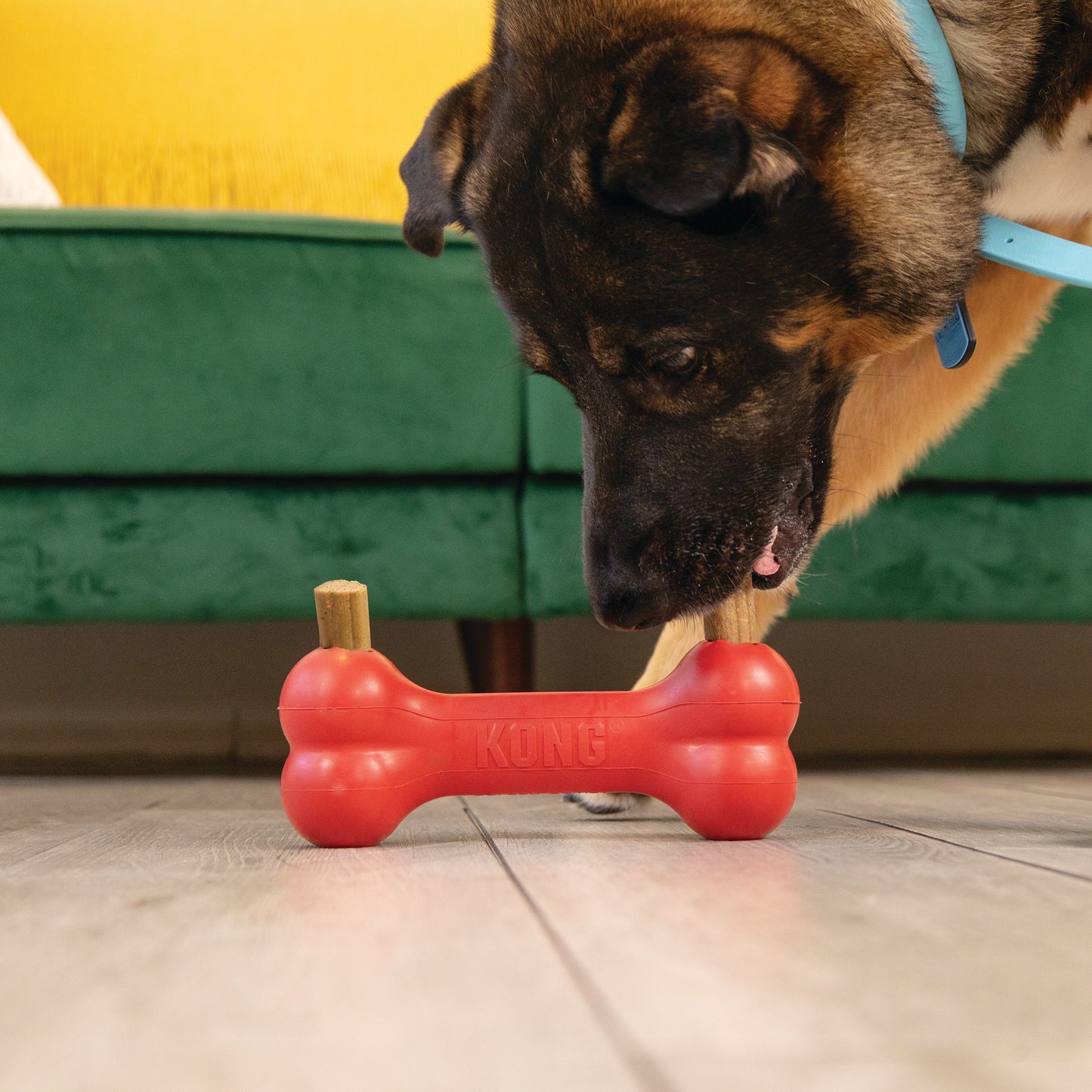 Kong Ziggies Enhanced Dog Treat Sticks, Medium/Large