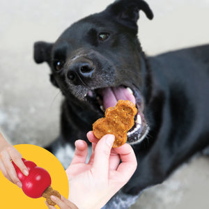 KONG Jerky Chicken Small/Medium Dog Treats 5 oz