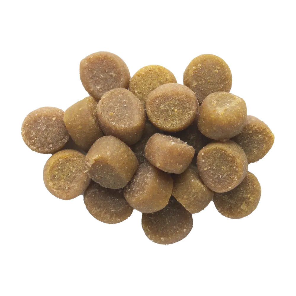 Zukes's Mini Naturals® Puppy Pork Training Dog Treats
