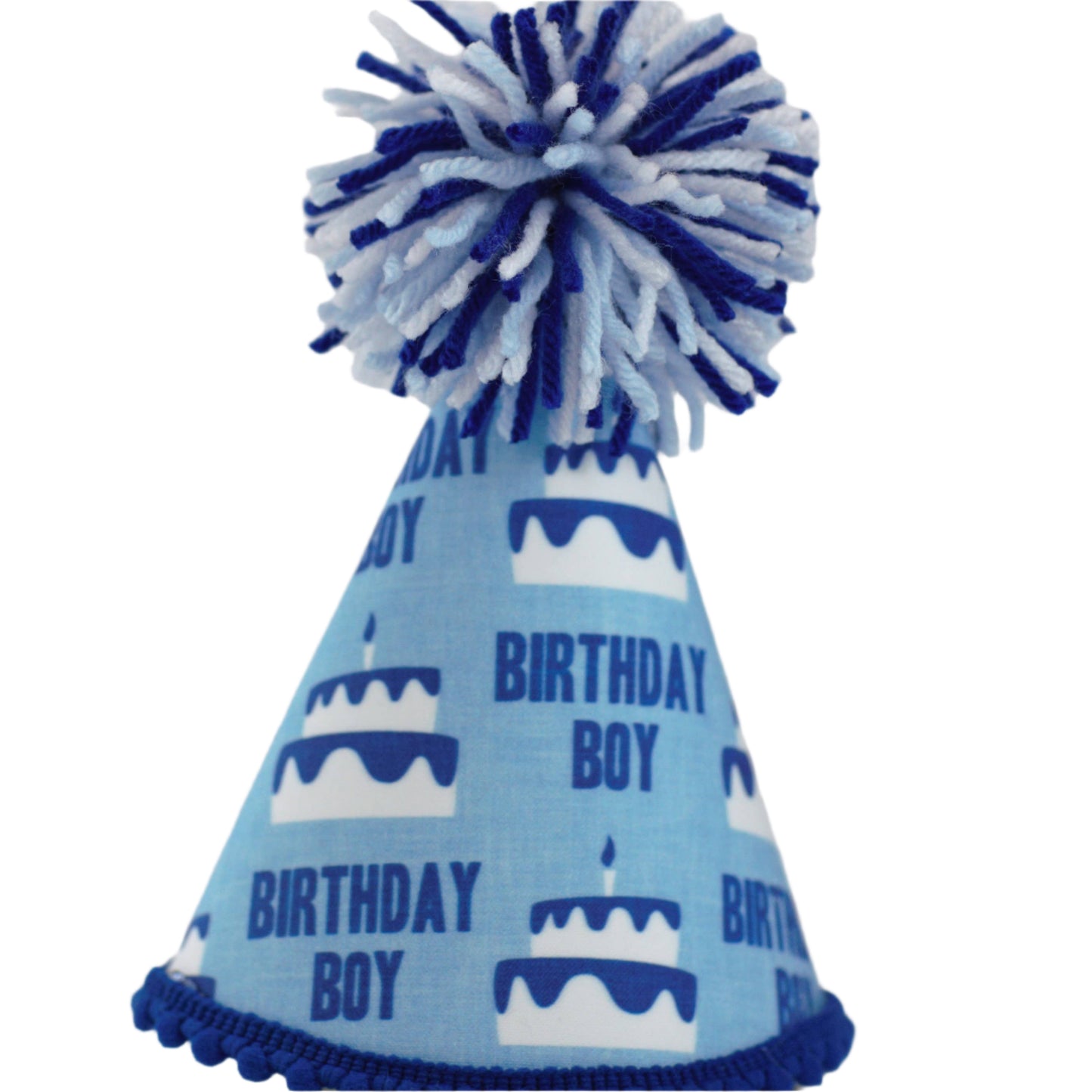Pup Party Hats Birthday Boy Blue Party Hat: M