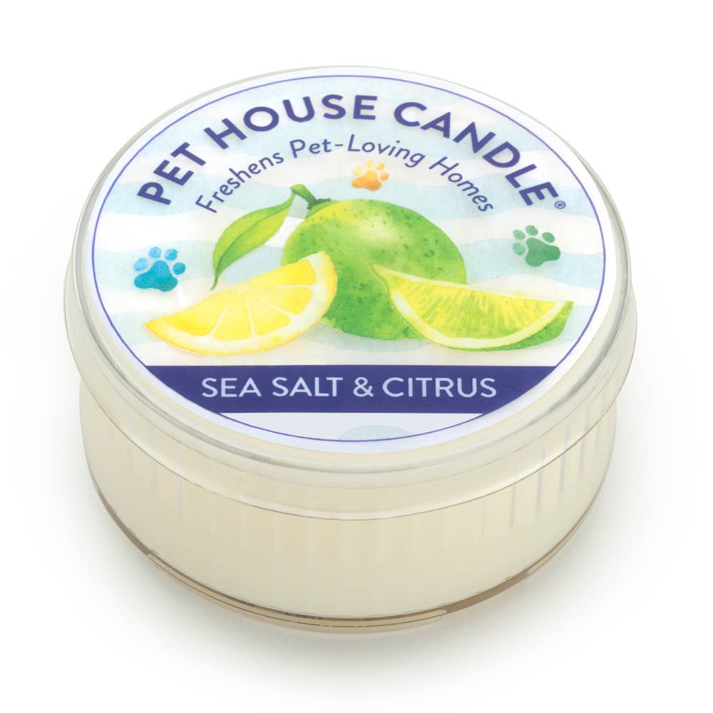Pet House Sea Salt & Citrus Plant-Based Soy Wax Mini Candle 1.5 oz