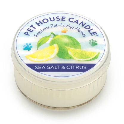Pet House Sea Salt & Citrus Plant-Based Soy Wax Mini Candle 1.5 oz