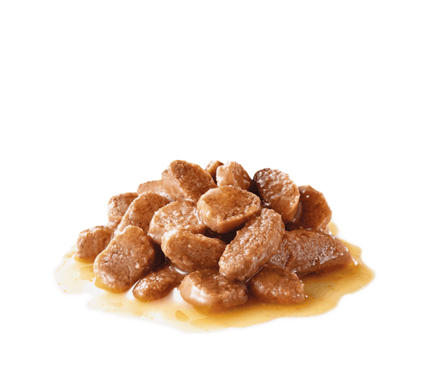 Royal Canin Digest Sensitive Thin Slices in Gravy Canned Cat Food