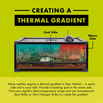 Zilla Day White Light Incandescent Spot Bulb