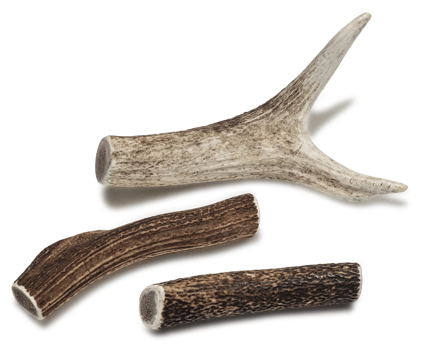 Deer Antler Dog Chews, Medium