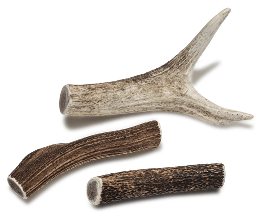 Deer Antler Dog Chews, Medium