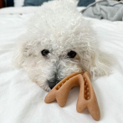 Tall Tails Antler Chew Dog Toy