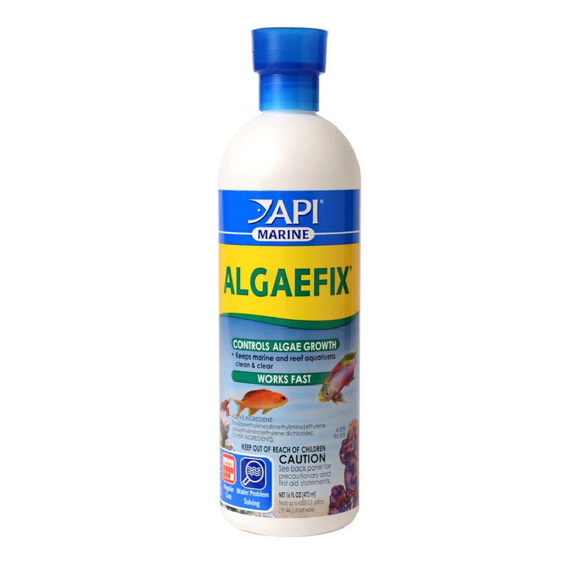 API Marine Algaefix Algae Control Solution, 16 oz