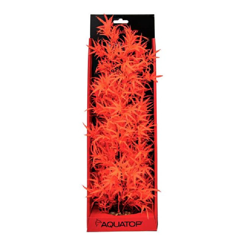 Aquatop Cannabis Red Aquarium Plant, 16"