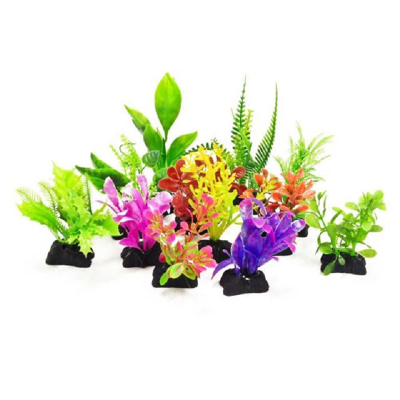 Aquatop Assorted Aquarium Plants, 3-4"
