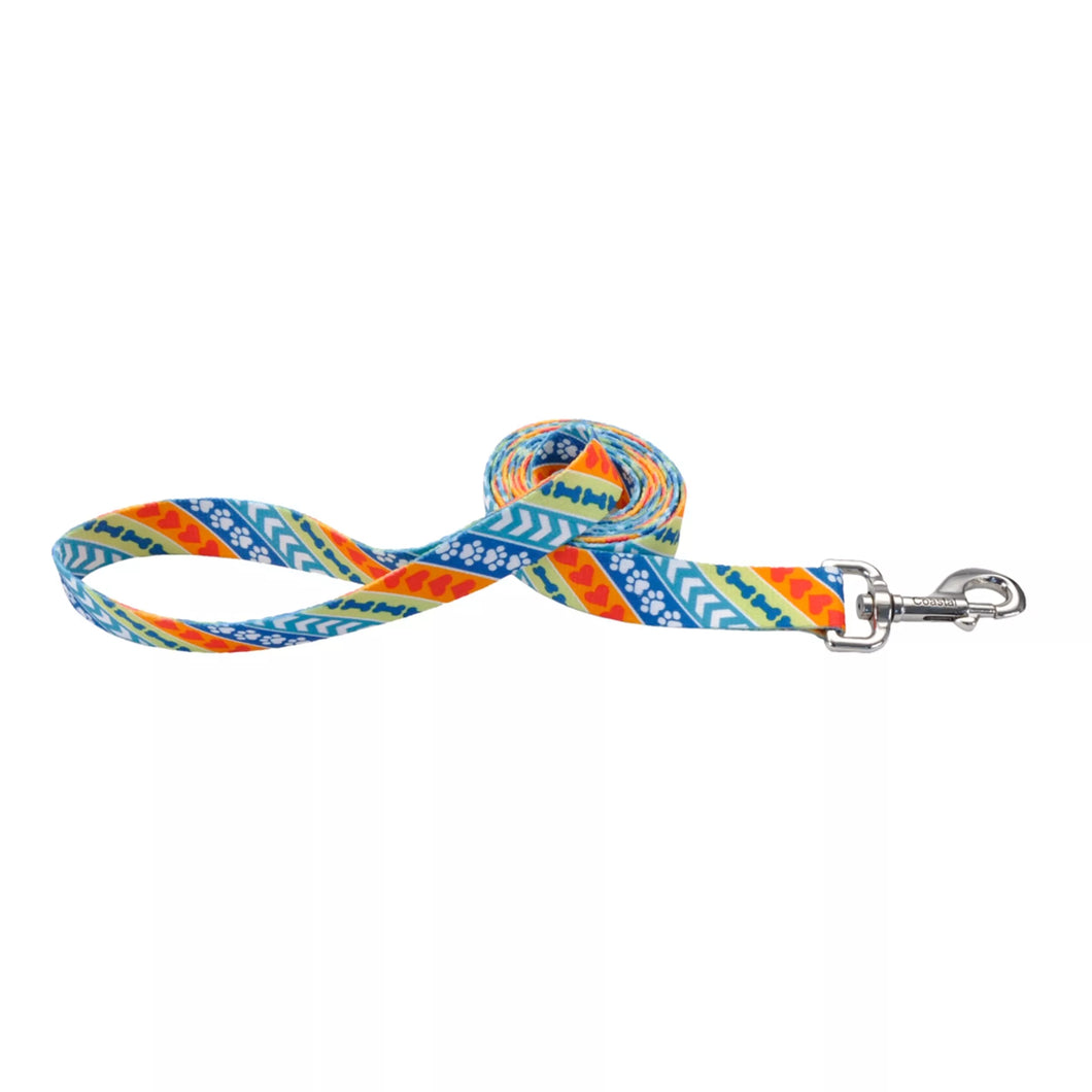 Coastal Leader Dogs for the Blind Styles Dog Leash