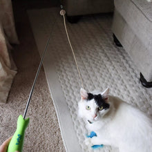 Load image into Gallery viewer, Turbo Telescoping Wand with LED Pointer Cat Toy
