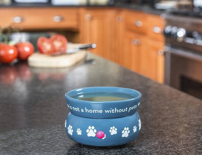 Electric Wax Warmer/Melter