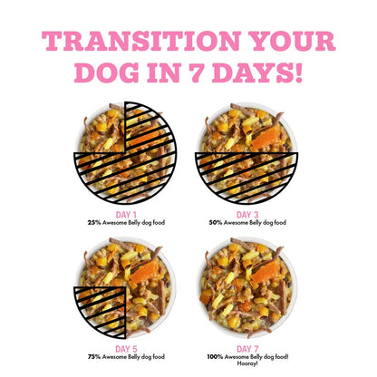 Weruva Awesome Belly Beef, White Rice & Pumpkin Recipe with Papaya, Turmeric & Ginger Canned Dog Food