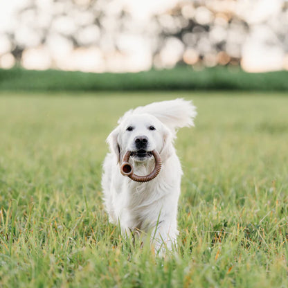 Benebone Ring Bacon Flavored Dog Chew Toy