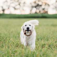 Load image into Gallery viewer, Benebone Ring Bacon Flavored Dog Chew Toy
