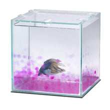 Load image into Gallery viewer, Aqueon PURE Betta Beads 8.8oz
