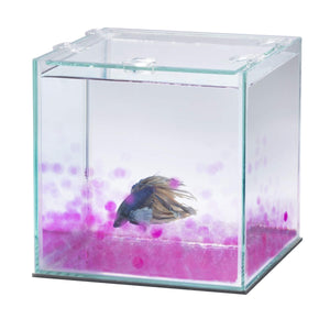 Aqueon PURE Betta Beads 8.8oz