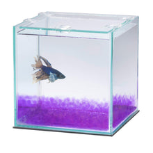 Load image into Gallery viewer, Aqueon PURE Betta Beads 8.8oz
