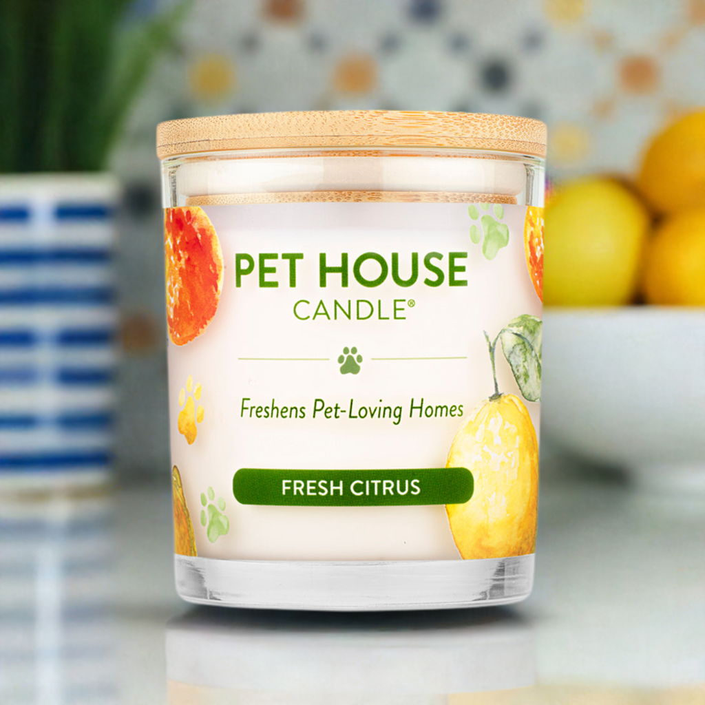 Fresh Citrus 9 oz Candle - lemon/orange fragrance