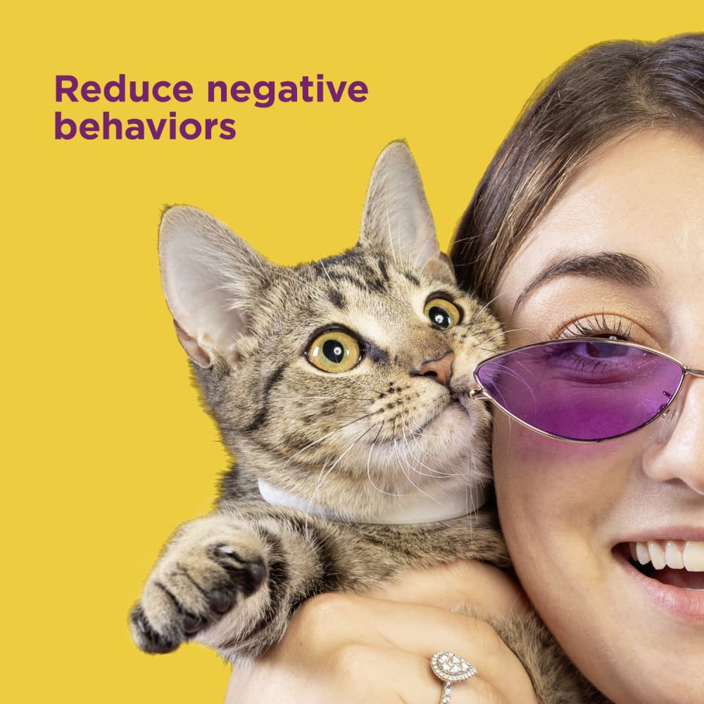 Comfort Zone Cat Calming Collar 1 Pack