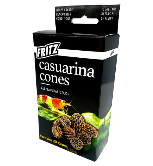 Fritz Casuarina Cones, 20 Count