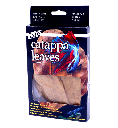 Fritz Catappa Leaves