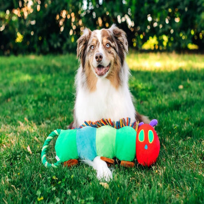 Multipet Eric Carle™ Very Hungry Caterpillar Rope Tugs- 9"