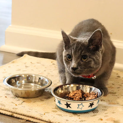 Maslow Design Series Cat Bowl, Blue & White