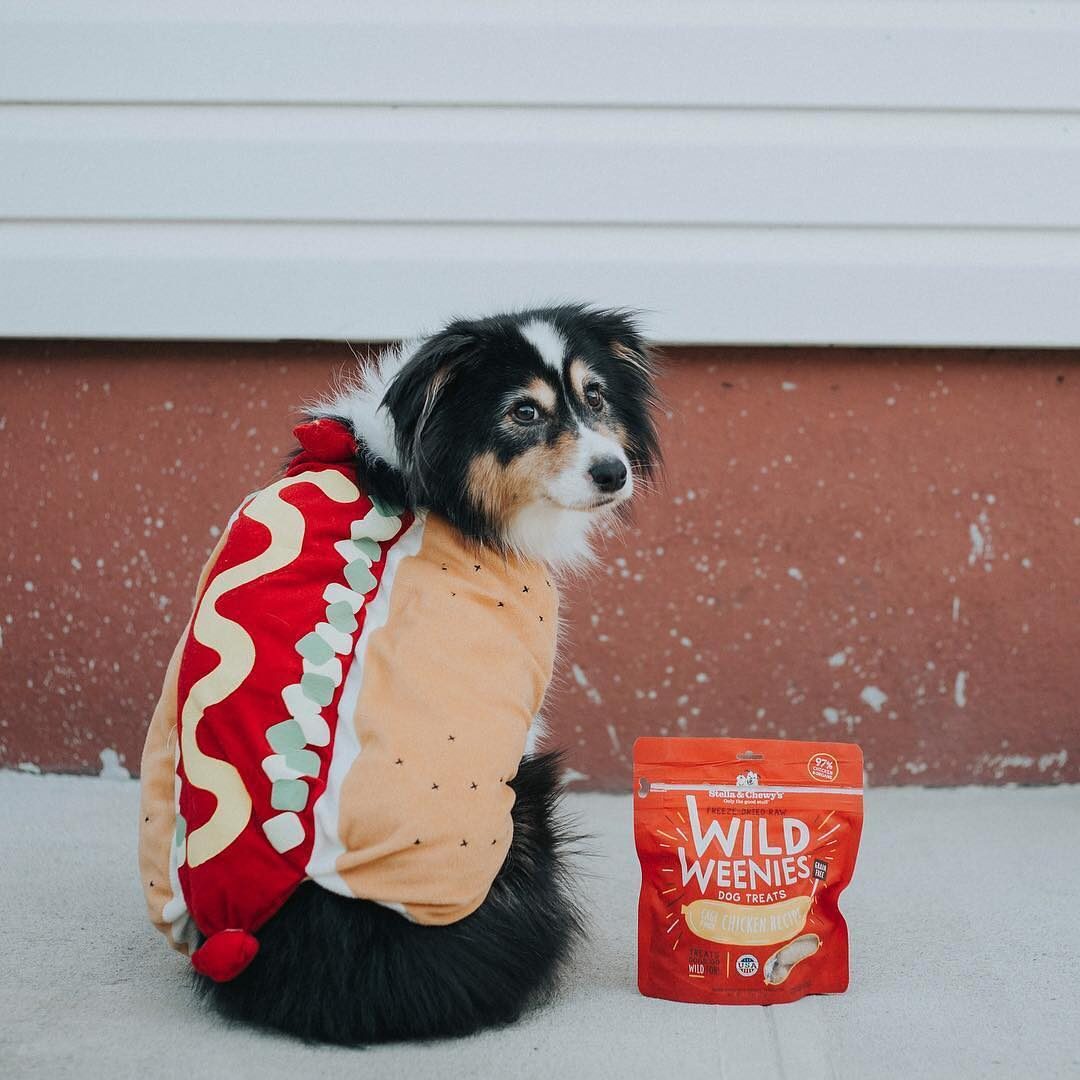 Stella & Chewy's Grass-Fed Chicken Wild Weenies