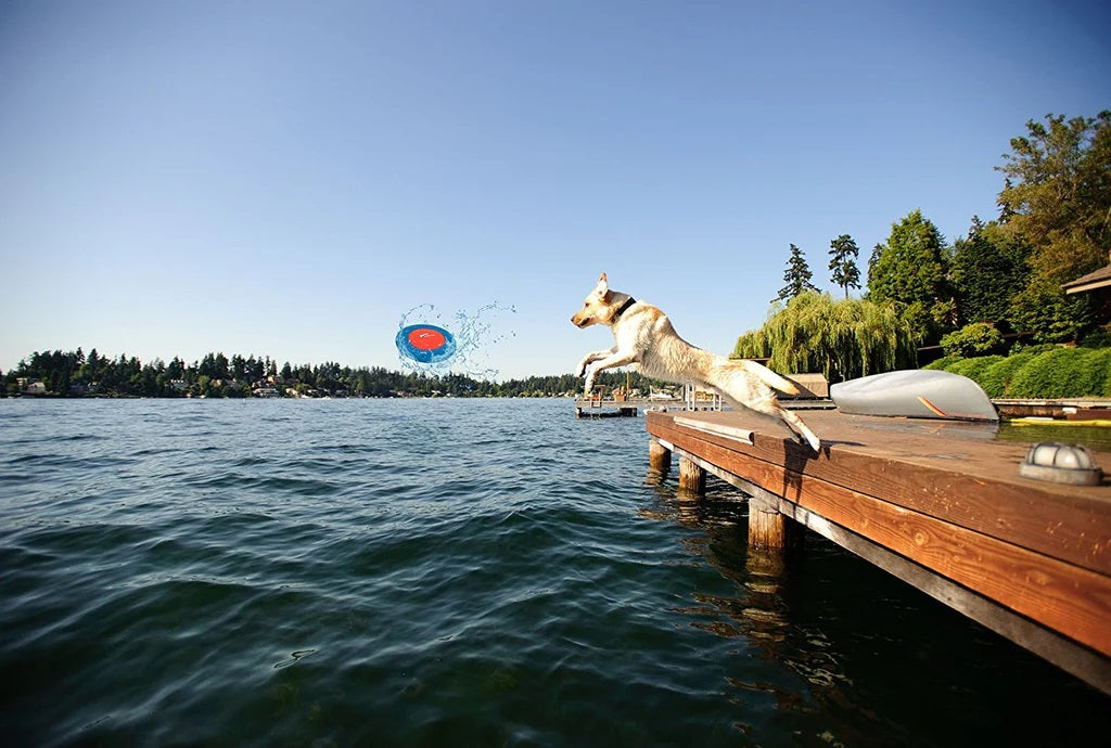 Chuckit! Hydro Flight Frisbee Dog Toy