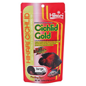 Hikari Cichlid Gold Large