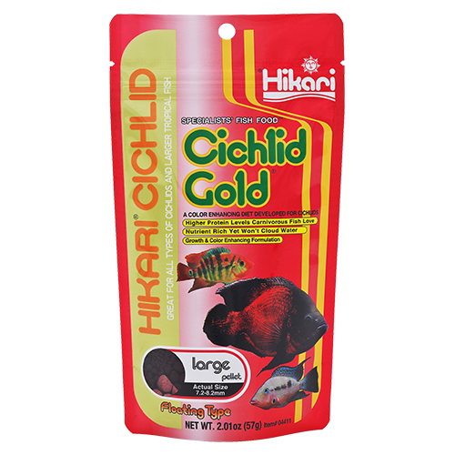 Hikari Cichlid Gold Large