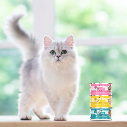 Weruva Cats in the Kitchen Goldie Lox Chicken & Salmon Recipe Au Jus
