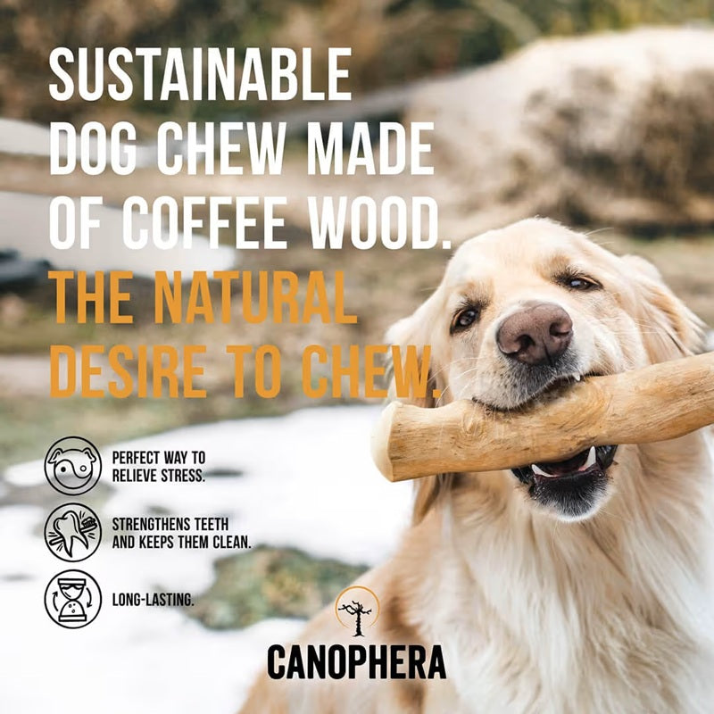 Canophera Coffee Wood Dog Chew Stick