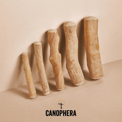 Canophera Coffee Wood Dog Chew Stick
