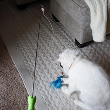 Load image into Gallery viewer, Turbo Telescoping Wand with LED Pointer Cat Toy
