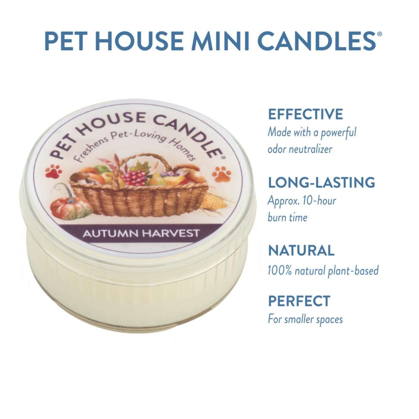 Autumn Harvest Mini Candle 1.5 oz