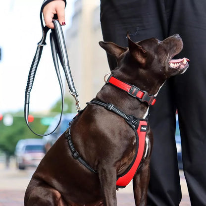 Coastal Reflective Control Handle Harness Blue